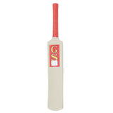 Cricket Bat - Plastic Fiber, Kids, Sports, Chase Value, Chase Value