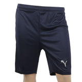Men's Embroidered Stripe Short - Navy Blue, Men, Shorts, Chase Value, Chase Value