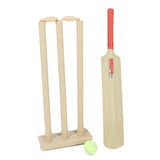 Cricket Bat with Wicket Set, Kids, Sports, Chase Value, Chase Value