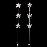 Women's Zircon Earring - Silver, Women, Earrings & Tops, Chase Value, Chase Value