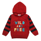 Boys Sweater - Red, Boys Sweaters, Chase Value, Chase Value