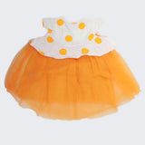 Newborn Girls Frocks (A345) - Orange, Kids, NB Girls Frocks, Chase Value, Chase Value