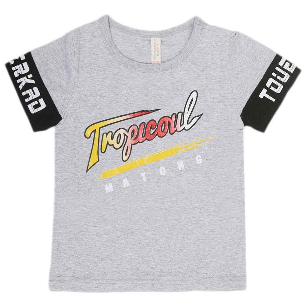 Boys Round Neck Half Sleeves T-Shirt - Grey, Kids, Boys T-Shirts, Chase Value, Chase Value
