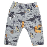 Newborns Girls Pant - Grey, Kids, Newborn Girls Shorts Skirts And Pants, Chase Value, Chase Value