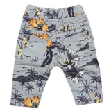 Newborns Girls Pant - Grey, Kids, Newborn Girls Shorts Skirts And Pants, Chase Value, Chase Value