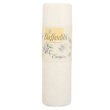 Daffodils Energize Perfumed Talc Powder 125gm, Beauty & Personal Care, Powders, Chase Value, Chase Value