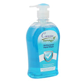 Caresse Hand Wash Antibacterial 500ml, Cosmetics, Chase Value, Chase Value