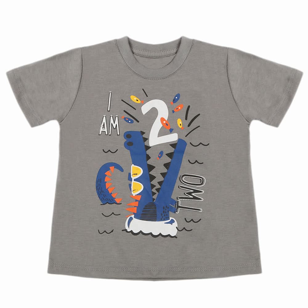 Boys Half Sleeves T-Shirt - Grey, Boys T-Shirts, Chase Value, Chase Value