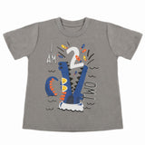 Boys Half Sleeves T-Shirt - Grey, Boys T-Shirts, Chase Value, Chase Value