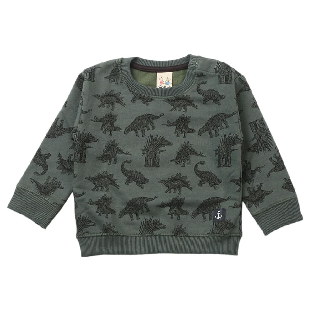 Boys Sweat Shirt - Dark Green, Boys Hoodies & Sweat Shirts, Chase Value, Chase Value