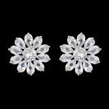 Women's Ear Tops - Silver, Women, Earrings & Tops, Chase Value, Chase Value