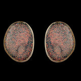 Women's Ear Tops - Multi, Women, Earrings & Tops, Chase Value, Chase Value