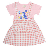 Newborn Girls Frock - Pink, Kids, NB Girls Frocks, Chase Value, Chase Value