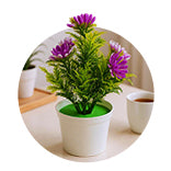 Decoration Collection