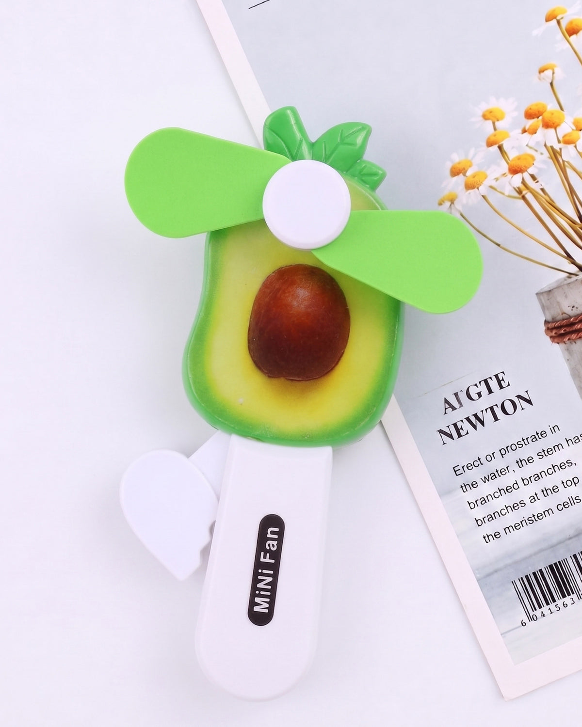 Mini Hand Fans