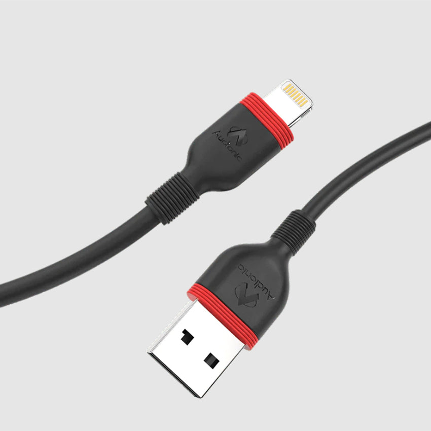 Audionic Roger Type-C Fast Charging Cable