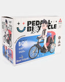 Battery Operated Tricycle Toy with Light & Music