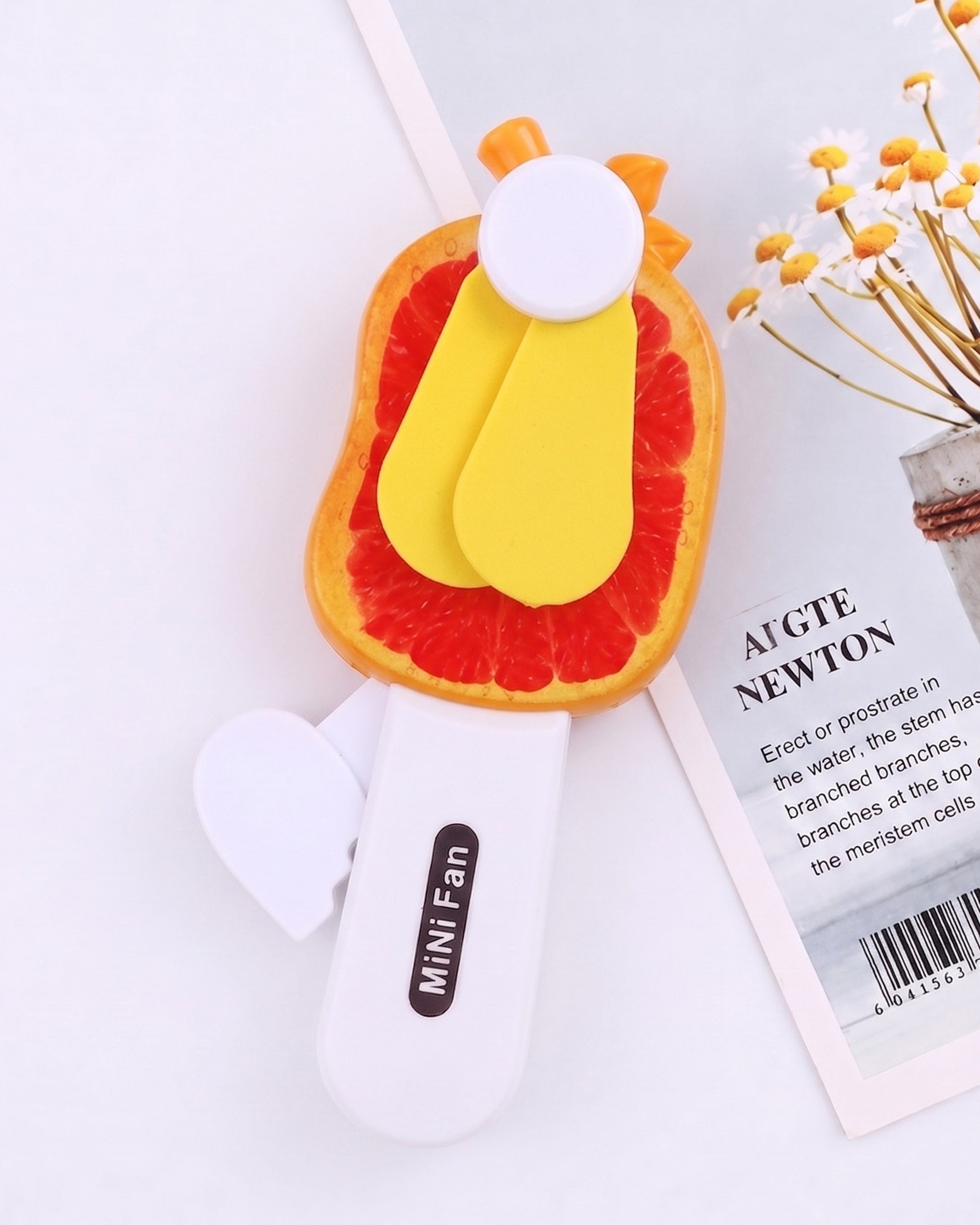 Mini Hand Fans