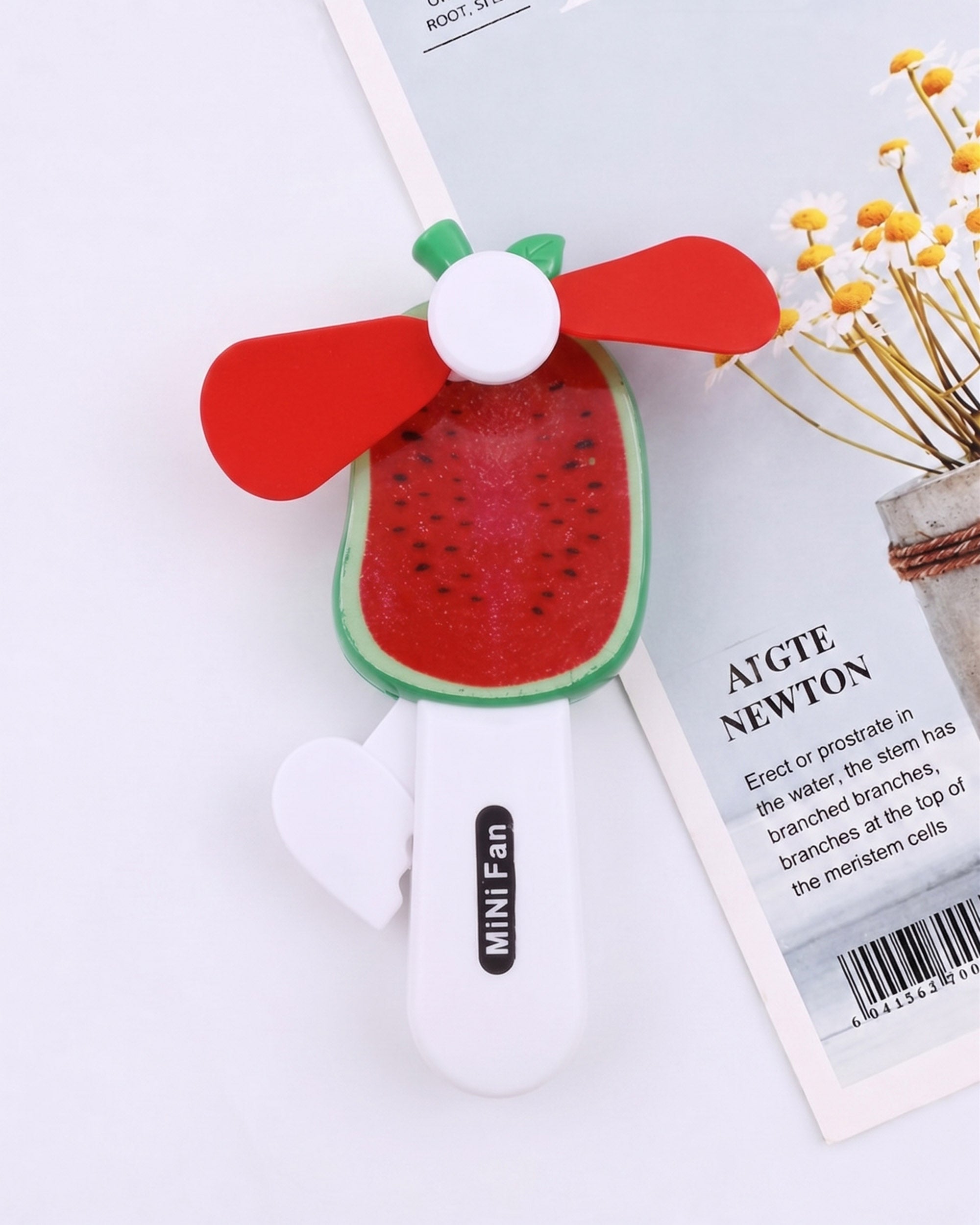 Mini Hand Fans