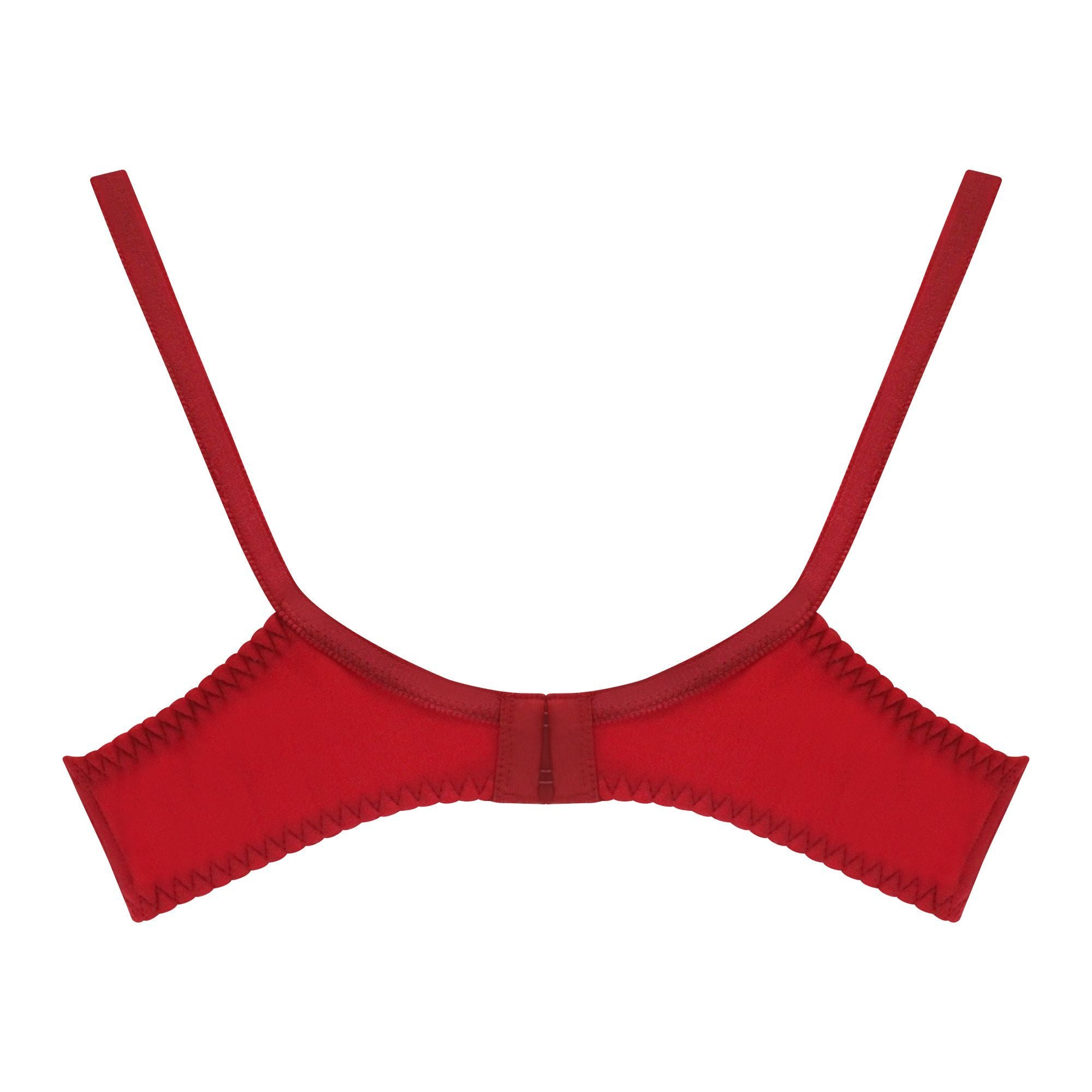 Women's  Bra Amoreena - Maroon, Women Bras, IFG, Chase Value