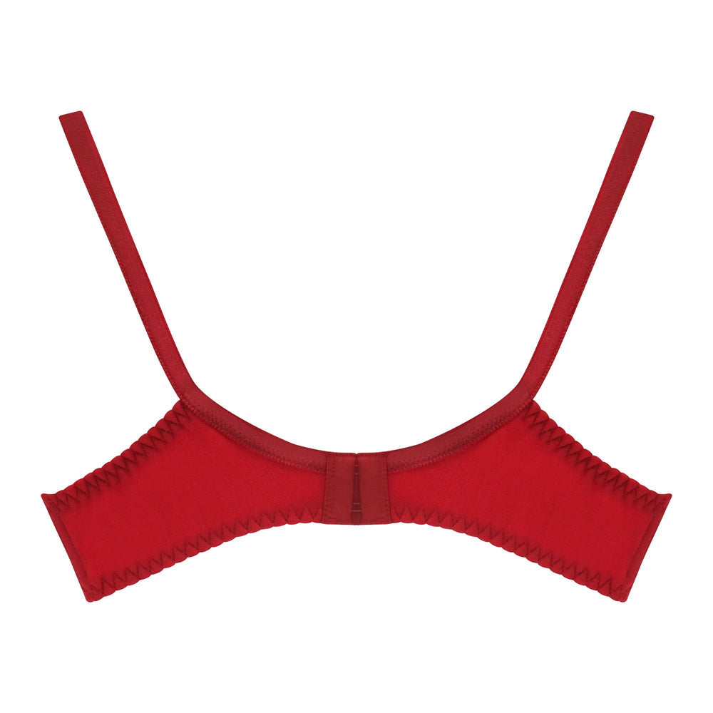 Women's  Bra Amoreena - Maroon, Women Bras, IFG, Chase Value
