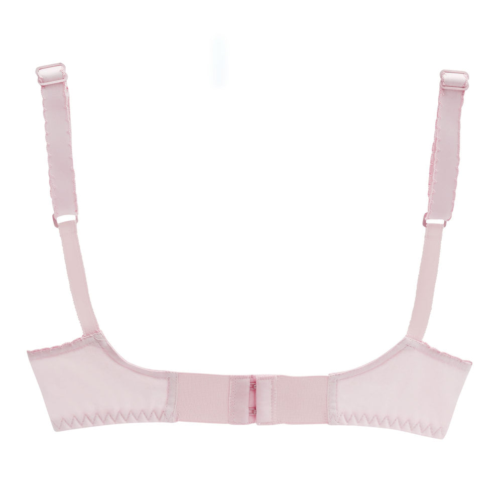 Women's  Bra Classis - Pink, Women Bras, IFG, Chase Value