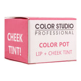Color Studio Color Pot Lip & Cheek Tint, Lip Gloss & Balm, Color Studio, Chase Value