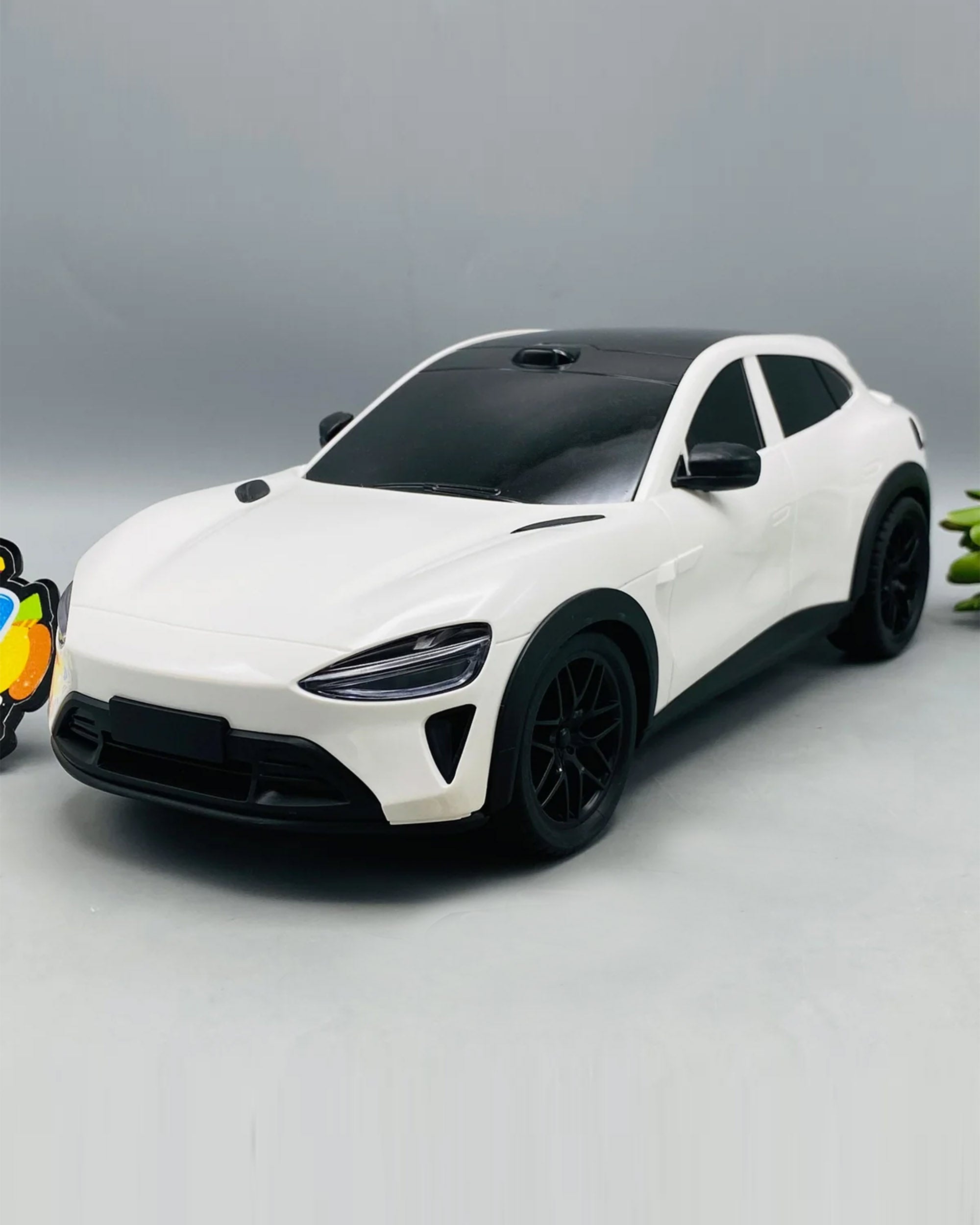 Remote Control Car 2.4G