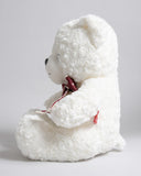Stuffed Toy Bear- 30cm