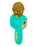 Microphone, Musical Toys, Chase Value, Chase Value