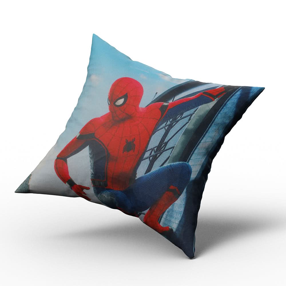 Character Cushion - B, Cushions & Pillows, Chase Value, Chase Value