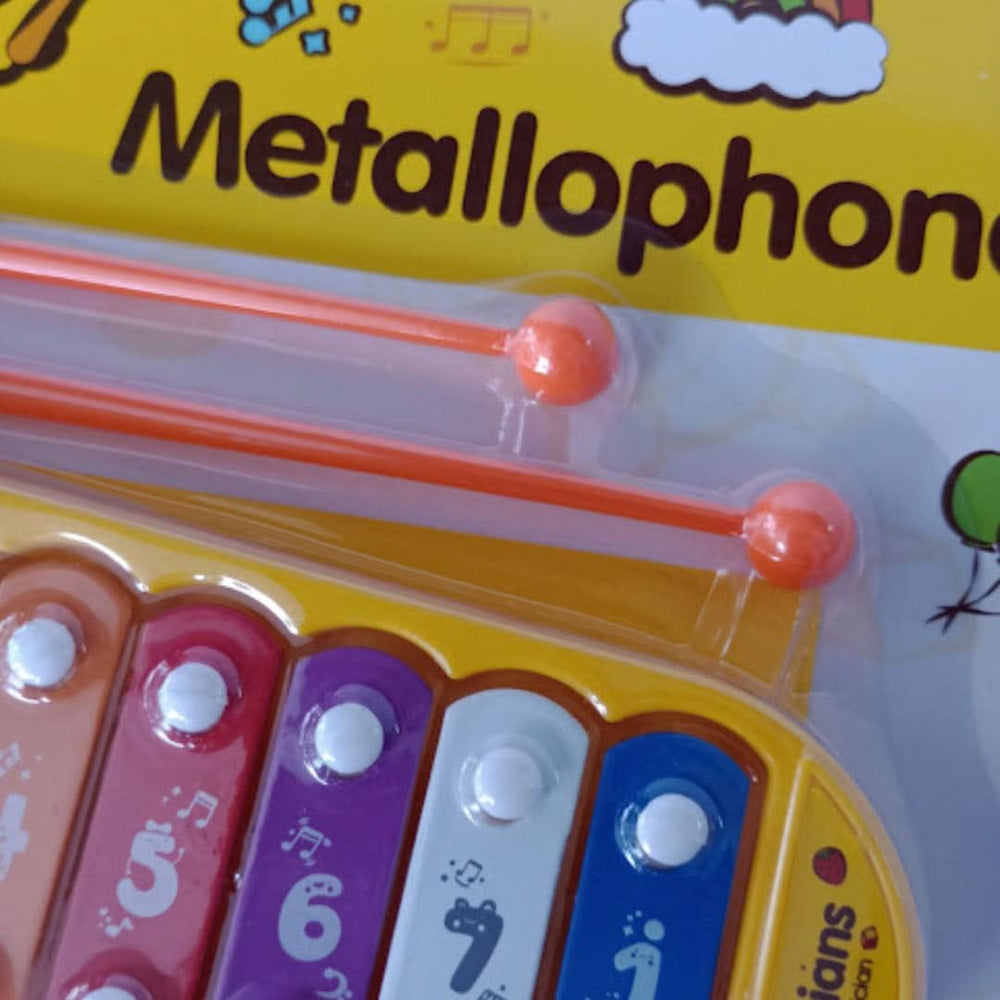 Xylophone Knocking Piano, Musical Toys, Chase Value, Chase Value