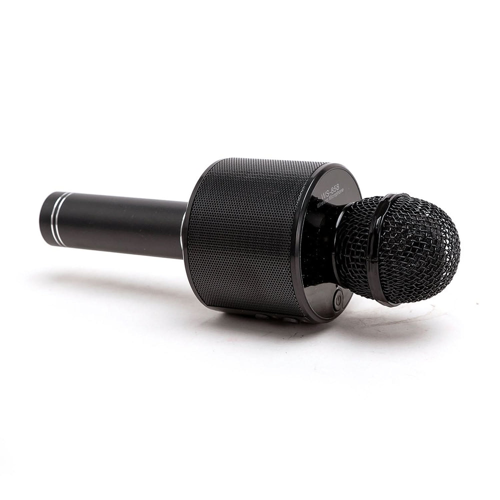 Hand Mic, Musical Toys, Chase Value, Chase Value
