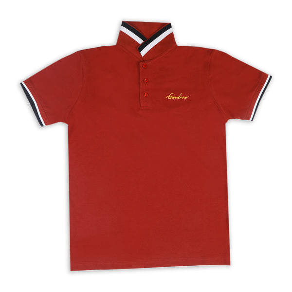 Men's Half Sleeves Polo T-Shirt - Brown