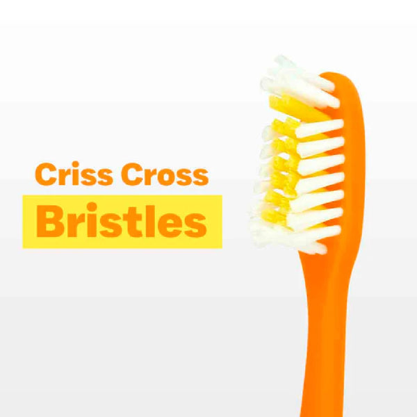 Shield Pro-Clean Tooth Brush
