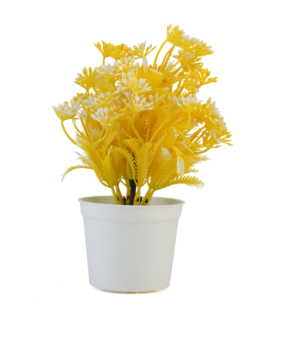 Flower Pot, Decoration, Chase Value, Chase Value