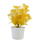 Flower Pot, Decoration, Chase Value, Chase Value