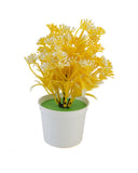 Flower Pot, Decoration, Chase Value, Chase Value