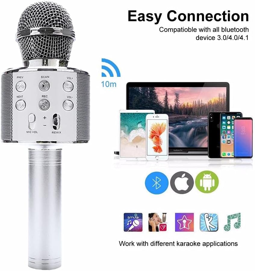 Rechargeable Mic With Echo, Musical Toys, Chase Value, Chase Value