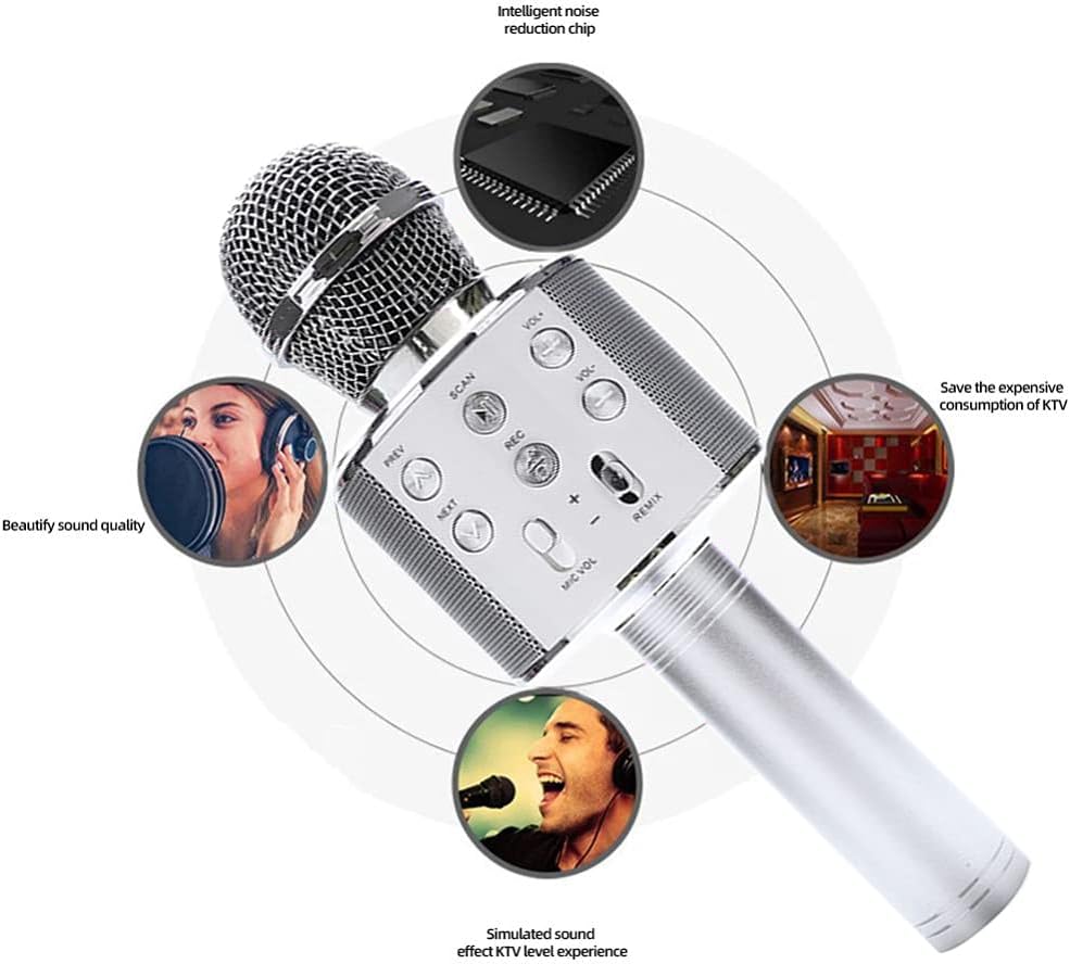 Rechargeable Mic With Echo, Musical Toys, Chase Value, Chase Value