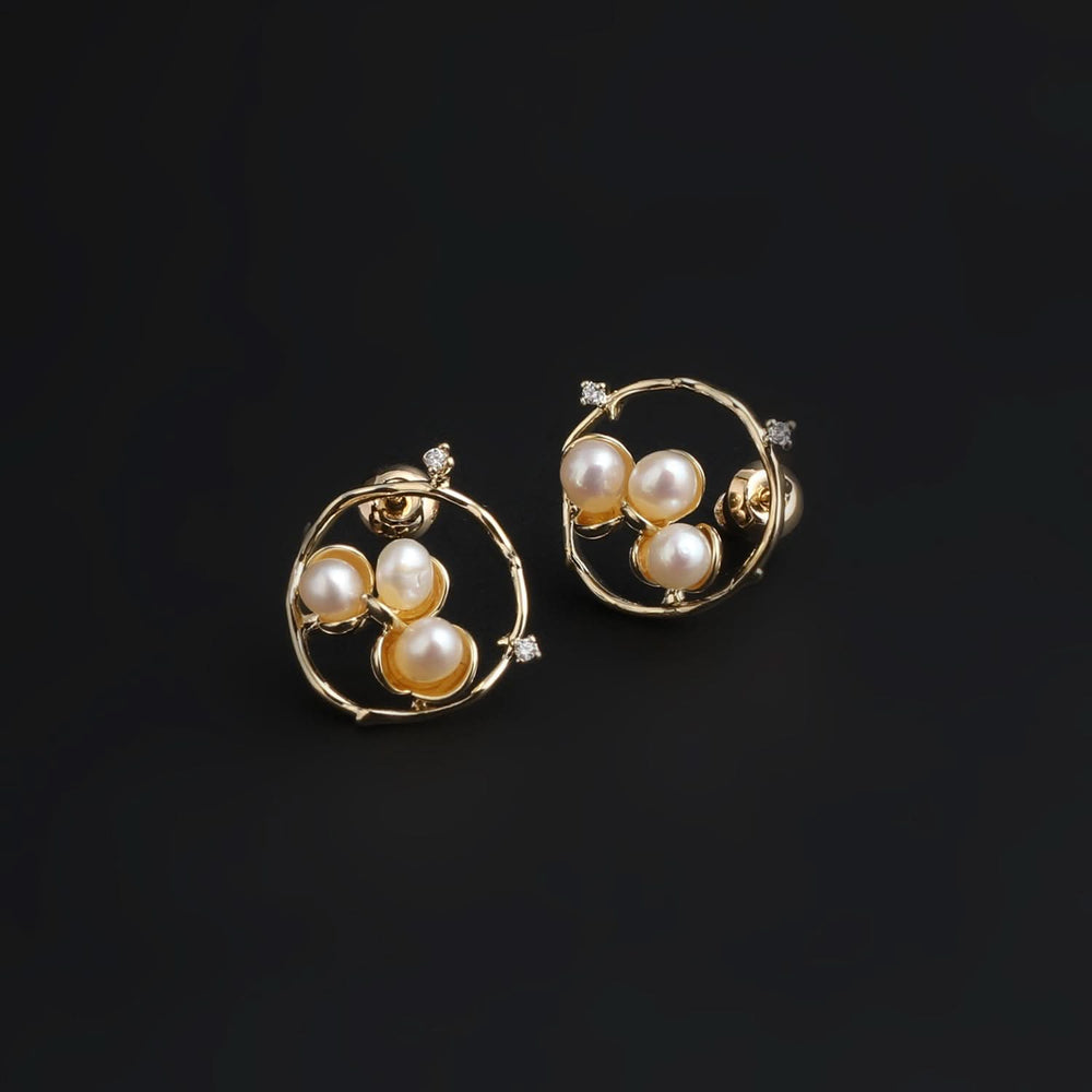 Women's Tops - Golden, Women Earrings & Tops, Chase Value, Chase Value