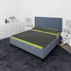 Double Bedsheet 3pcs - Multi Color