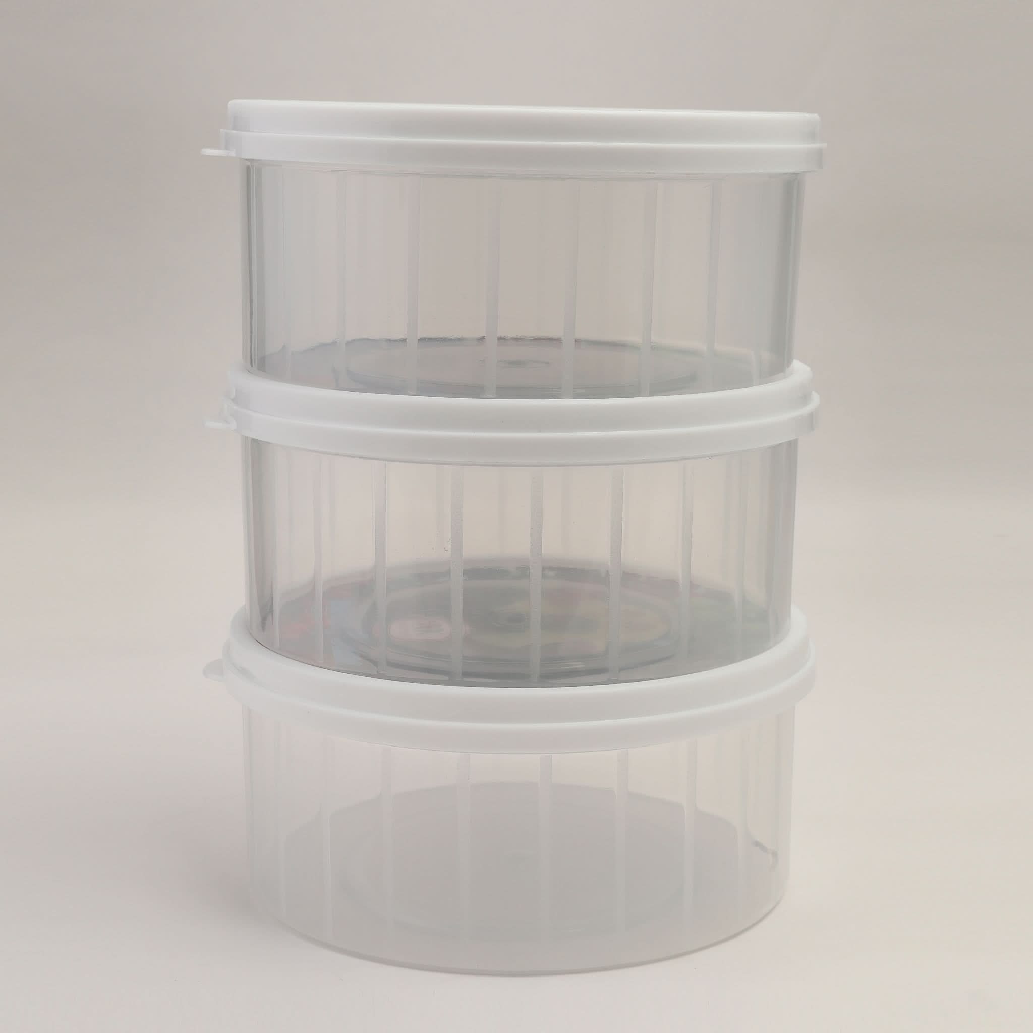 Sweety Box Pack Of 3, Storage Boxes, Chase Value, Chase Value