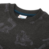 Boys Full Sleeves SweatShirt - Charcoal, Boys Hoodies & Sweat Shirts, Chase Value, Chase Value