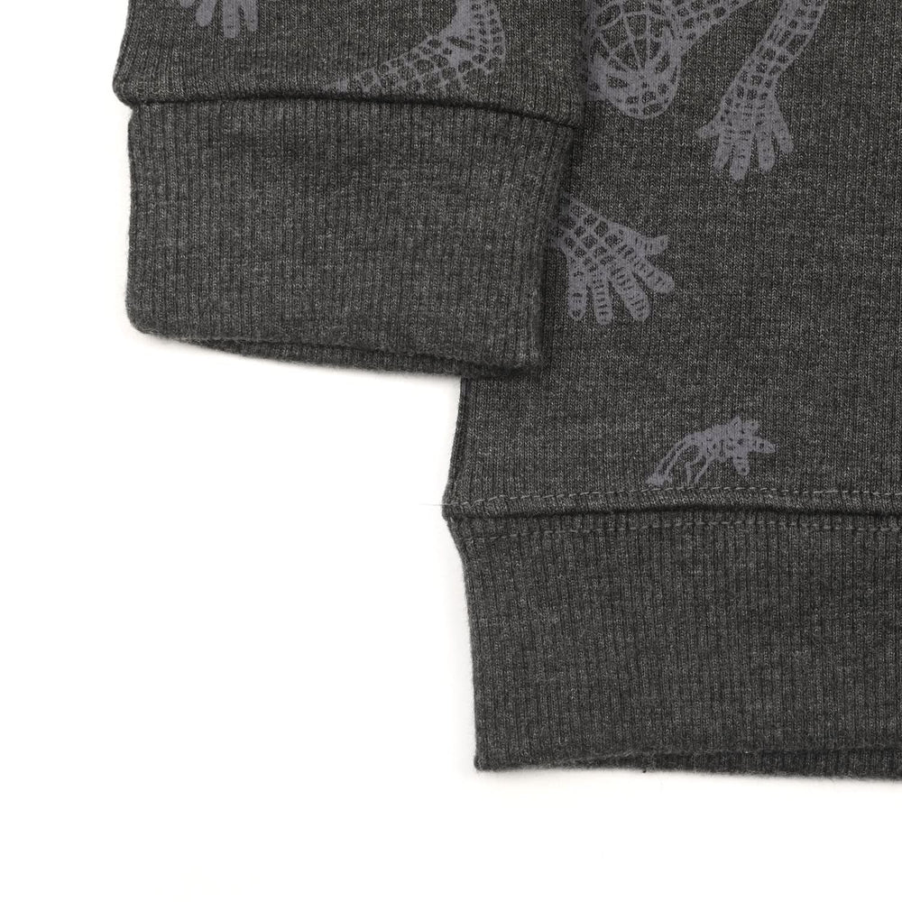 Boys Full Sleeves SweatShirt - Charcoal, Boys Hoodies & Sweat Shirts, Chase Value, Chase Value