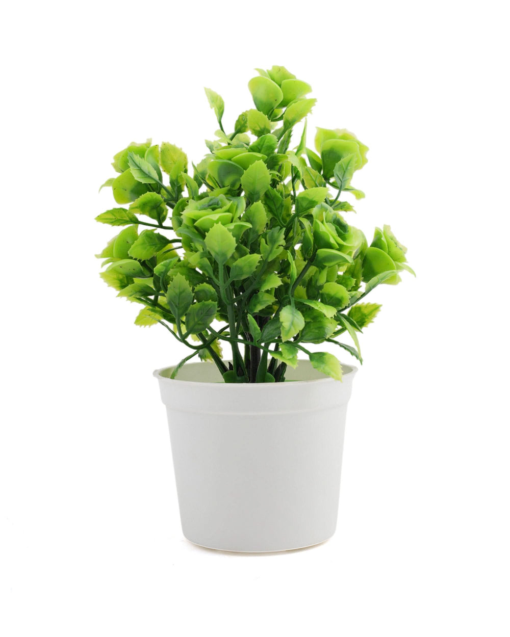 Decorative Flower Pot, Decoration, Chase Value, Chase Value