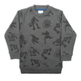 Boys Full Sleeves SweatShirt - Grey, Boys Hoodies & Sweat Shirts, Chase Value, Chase Value