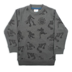 Boys Full Sleeves SweatShirt - Grey
