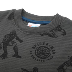 Boys Full Sleeves SweatShirt - Grey