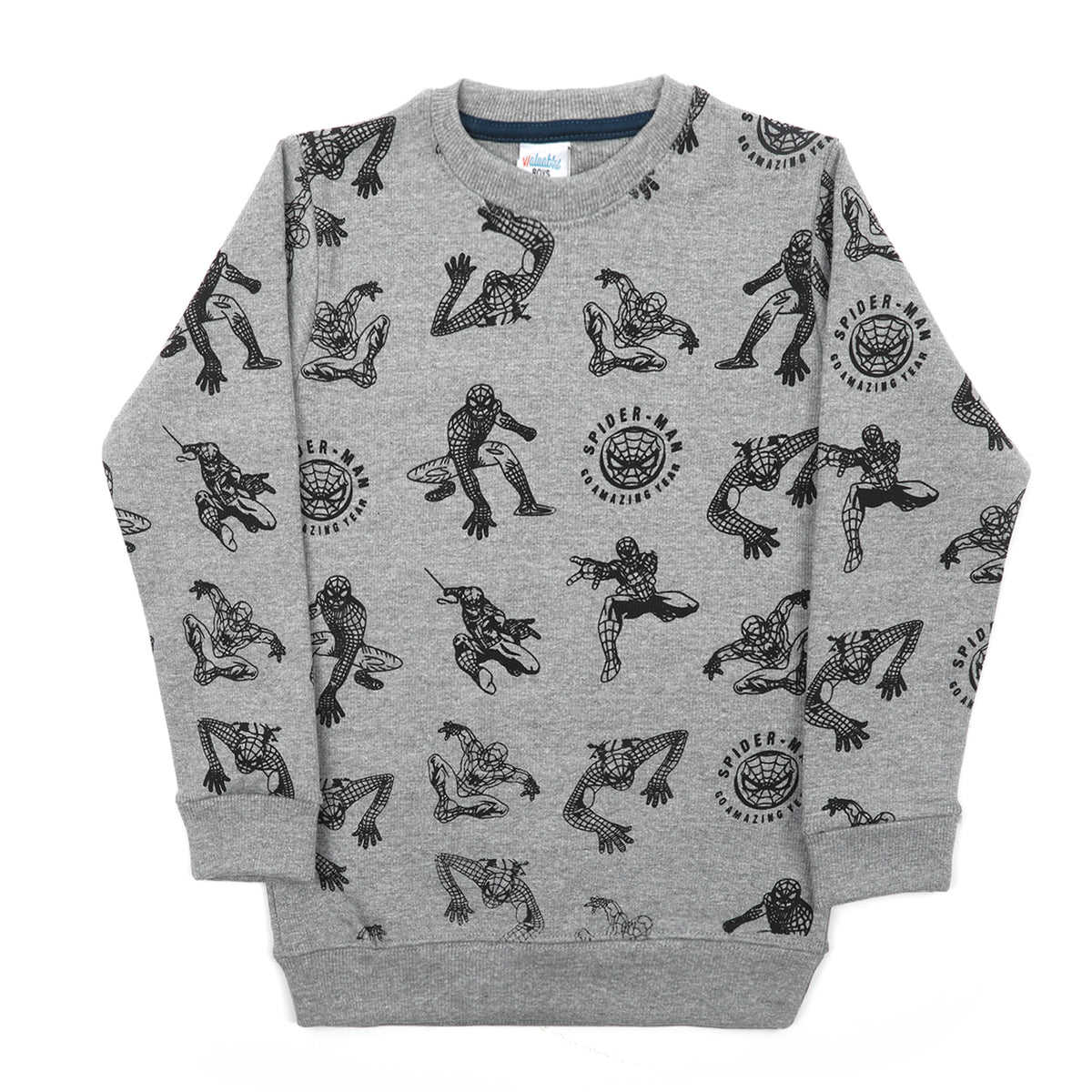 Boys Full Sleeves SweatShirt - Ash Grey, Boys Hoodies & Sweat Shirts, Chase Value, Chase Value